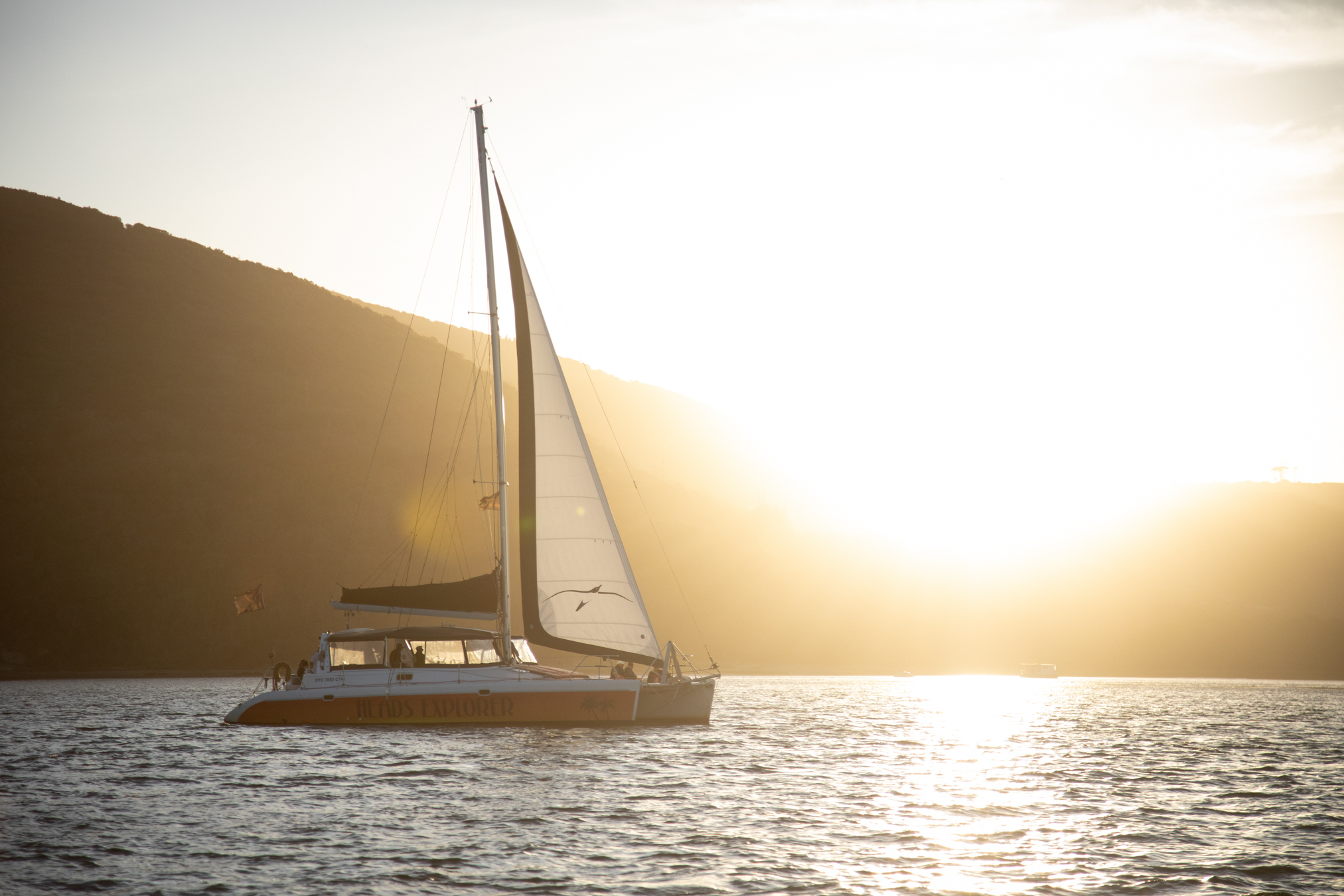 Boat Cruise Experience